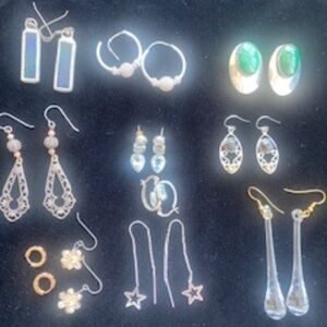 11 Pairs of Earrings